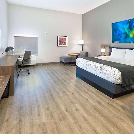 La Quinta Inn & Suites By Wyndham Dallas/Fairpark Luaran gambar